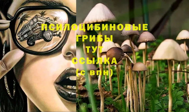 Псилоцибиновые грибы Magic Shrooms  Заозёрск 